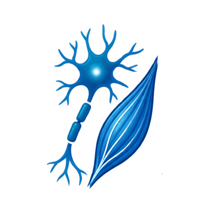 Atención neuromuscular especializada